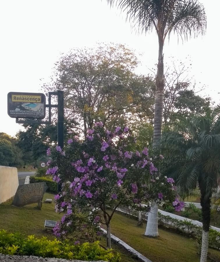 Pousada Renascença Serra Negra  Exterior foto